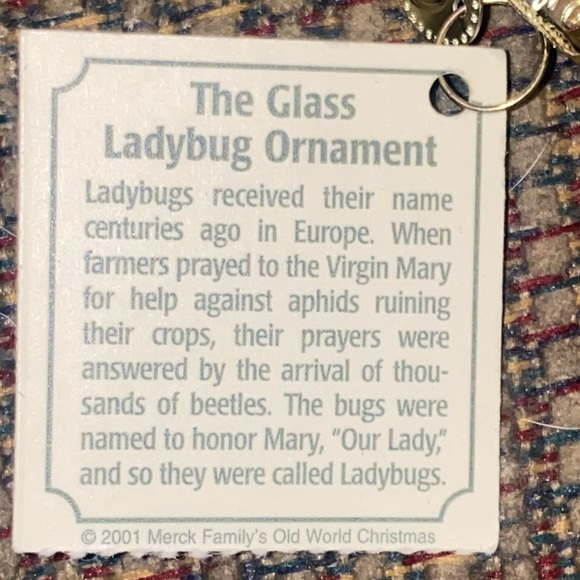 Old World Christmas Ladybug Ornament Vintage 2001 - Picture 5 of 6
